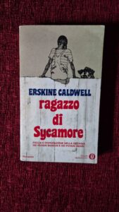 Il mio libro della settimana: “Ragazzo di Sycamore” di Erskine Caldwell